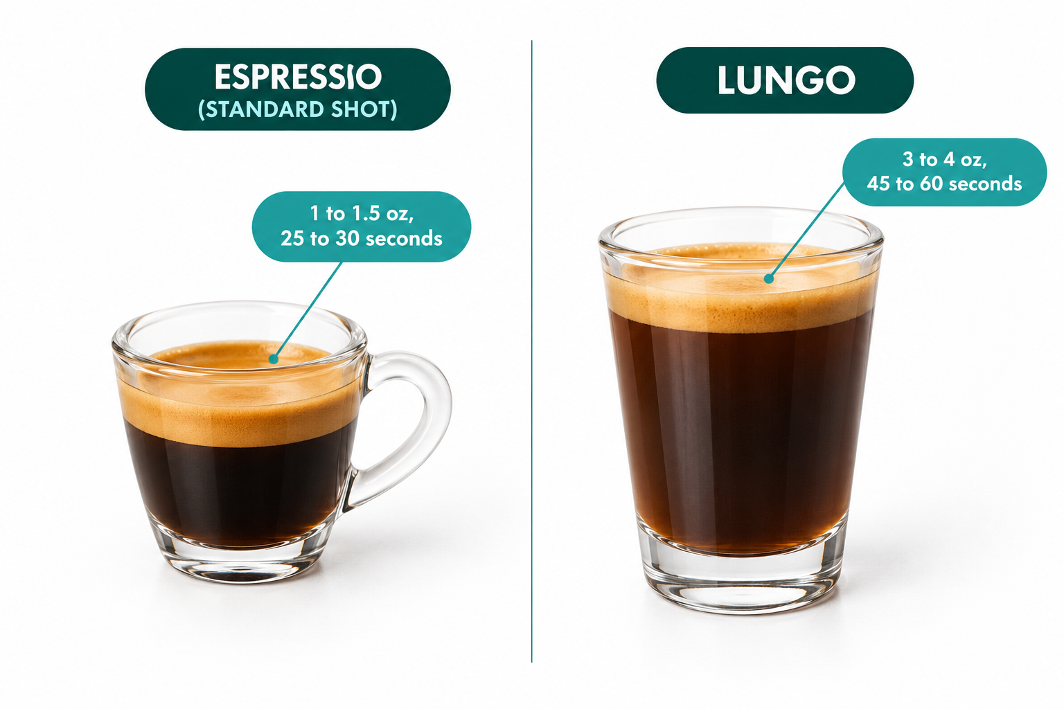 What Is a Lungo