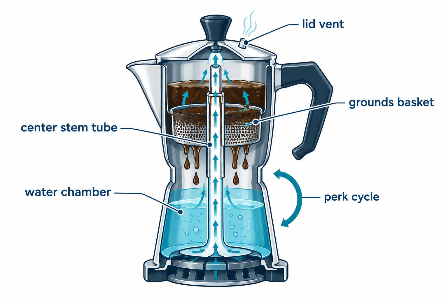 What Is a Percolator and How Does It Work