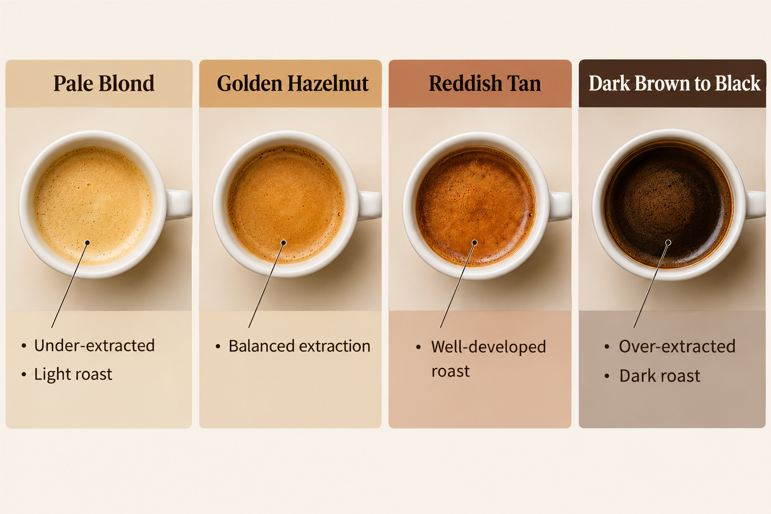 What Does Crema Color Tell You About Espresso Quality