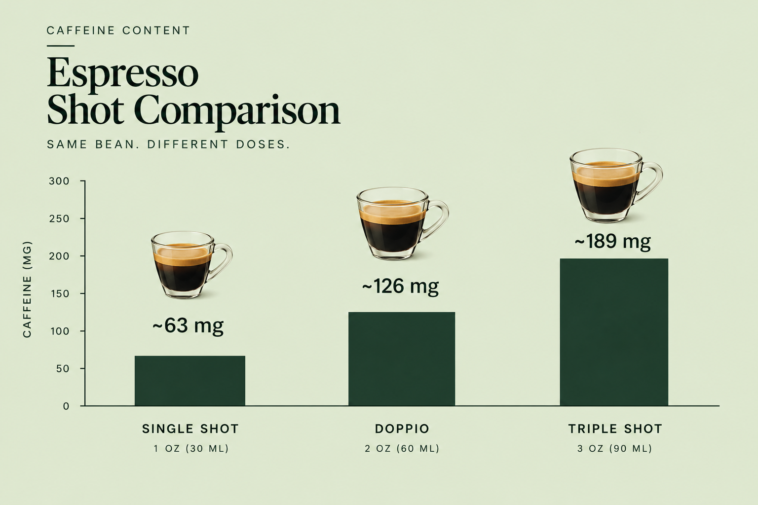 How Much Caffeine Is in a Doppio, and What Size Is the Shot?