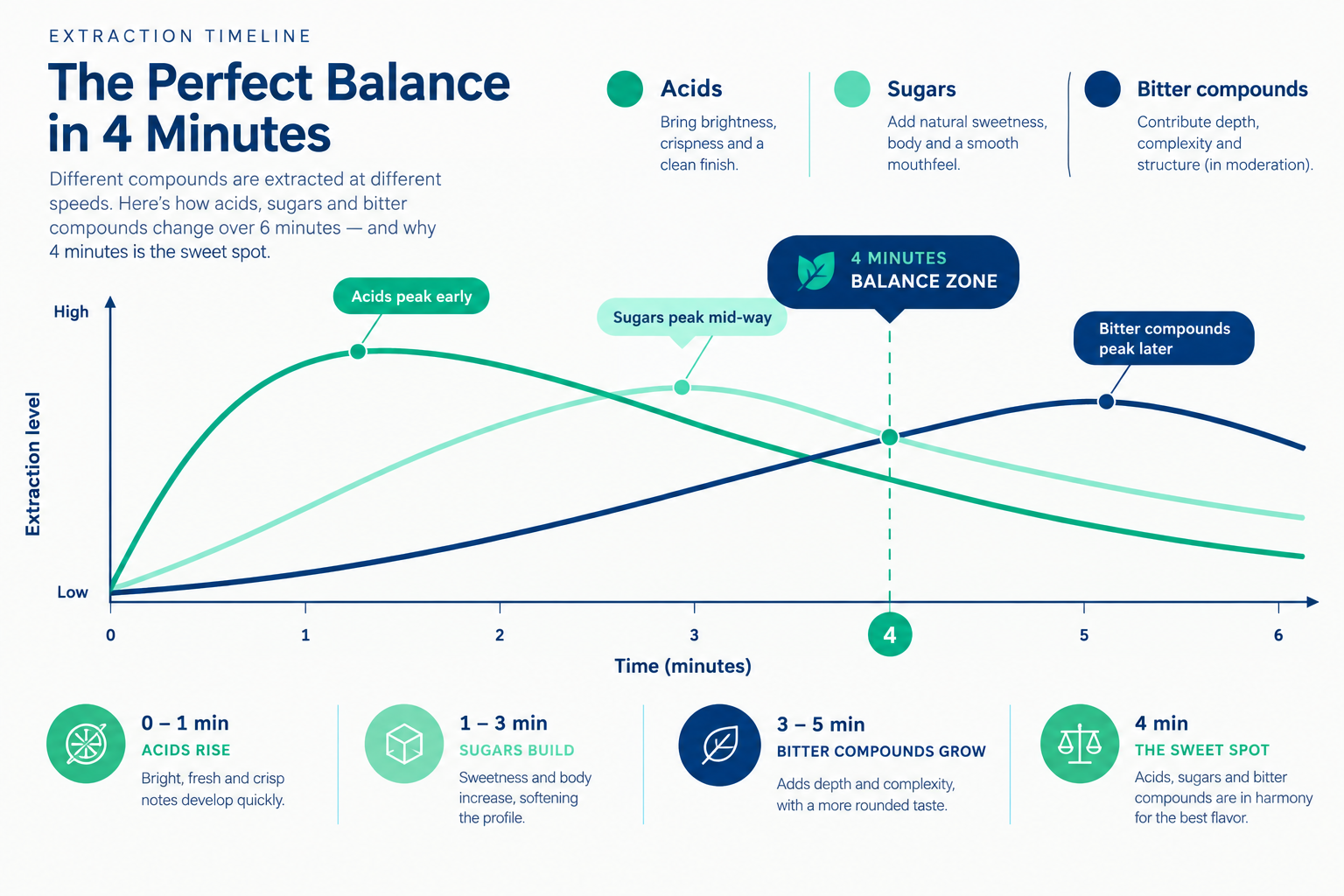 Why Does French Press Take 4 Minutes? The Extraction Science Behind the Number