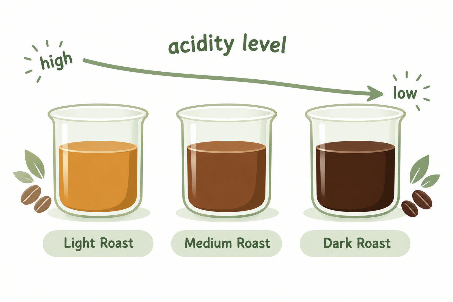 Light roast vs dark roast for espresso, cold brew, and french press