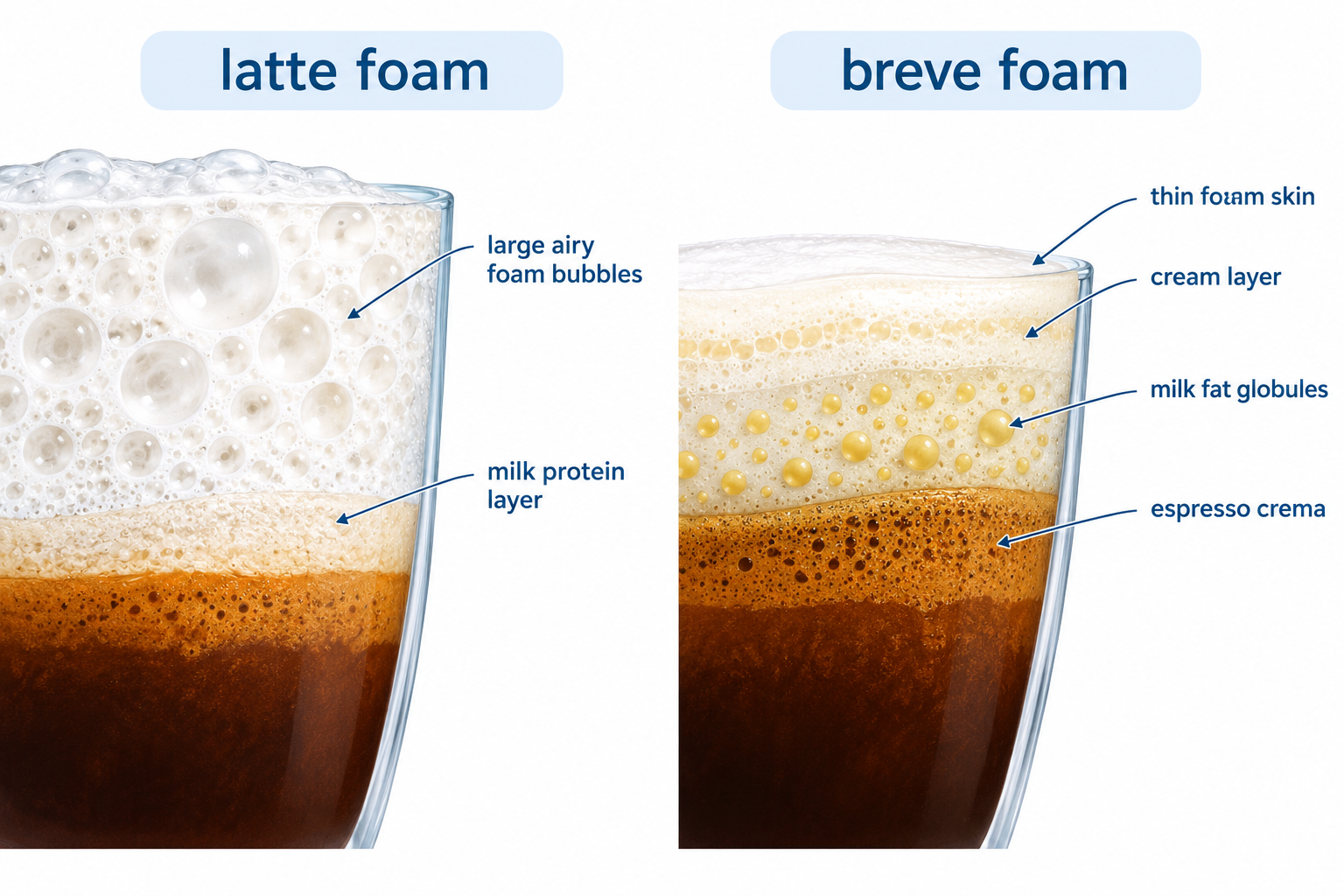 Where Can I Get a Breve Coffee? Starbucks, 7 Brew, Dutch Bros, and More